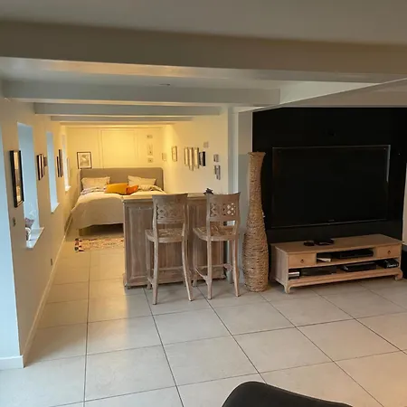 Large Cozy Living With Bedroom, Bathroom Apartment *